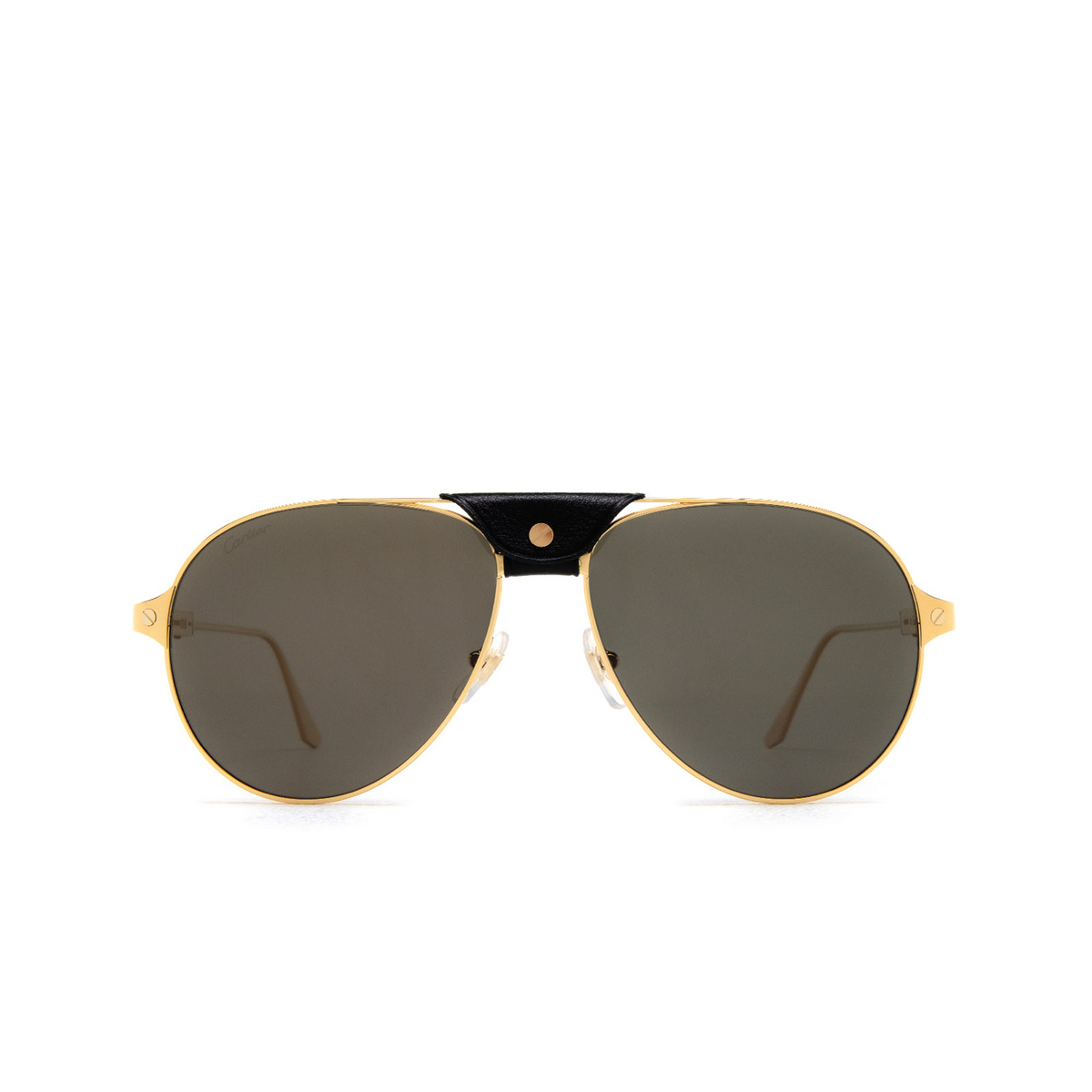 Cartier CT0387S Sunglasses 001 Gold - product thumbnail 1/6