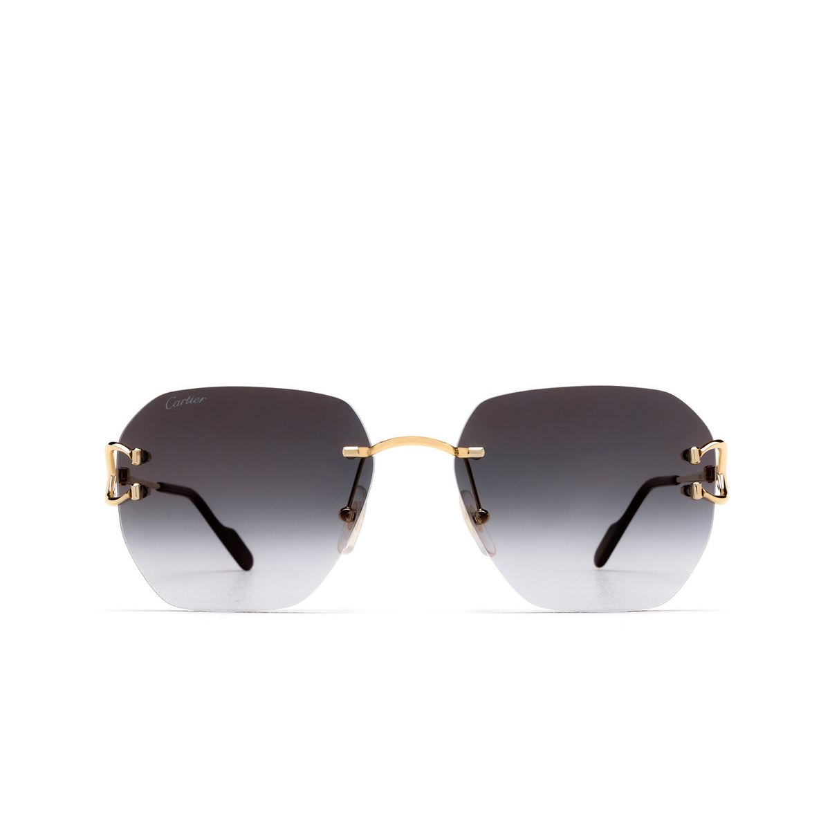 Cartier CT0394S Sunglasses 001 Gold - front view