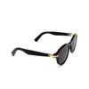 Cartier CT0395SA Sunglasses 001 black - product thumbnail 2/5