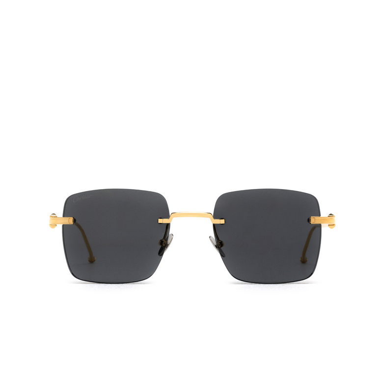Cartier CT0403S Sunglasses 002 gold - 1/4