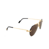 Cartier CT0427S Sunglasses 005 gold - product thumbnail 2/4
