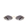 Cartier CT0433S Sunglasses 001 gold - product thumbnail 1/4