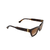 Cartier CT0437S Sunglasses 002 havana - product thumbnail 2/4