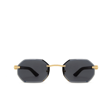 Cartier CT0439S Sunglasses 001 gold - front view