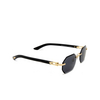 Cartier CT0439S Sunglasses 001 gold - product thumbnail 2/4