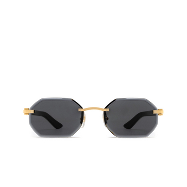Cartier CT0439S Sunglasses 002 gold - front view