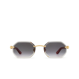 Cartier CT0439S 003 Gold 003 gold