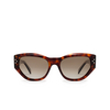 Celine BOLD 3 DOTS Sunglasses 52H havana - product thumbnail 1/3