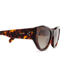 Celine BOLD 3 DOTS Sunglasses 52H havana - product thumbnail 3/3