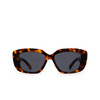 Celine MONOCHROM Sunglasses 53A havana - product thumbnail 1/3