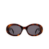 Celine TRIOMPHE Sunglasses 53A havana - product thumbnail 1/3