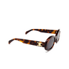 Celine TRIOMPHE Sunglasses 53A havana - product thumbnail 2/3