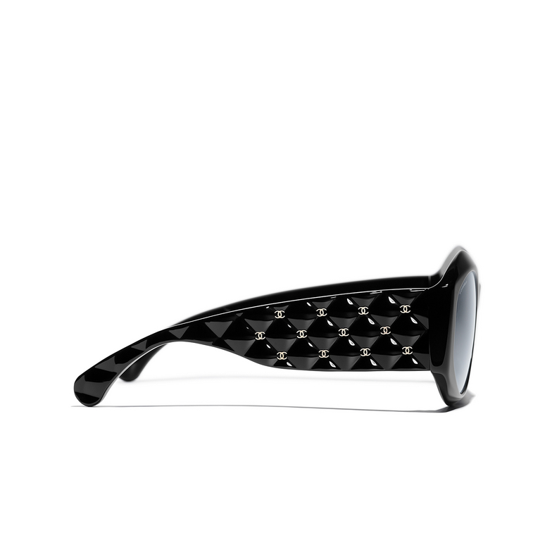 CHANEL oval Sunglasses C622S4 black