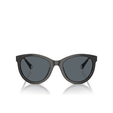 CHANEL pantos Sunglasses 1756R5 black - front view