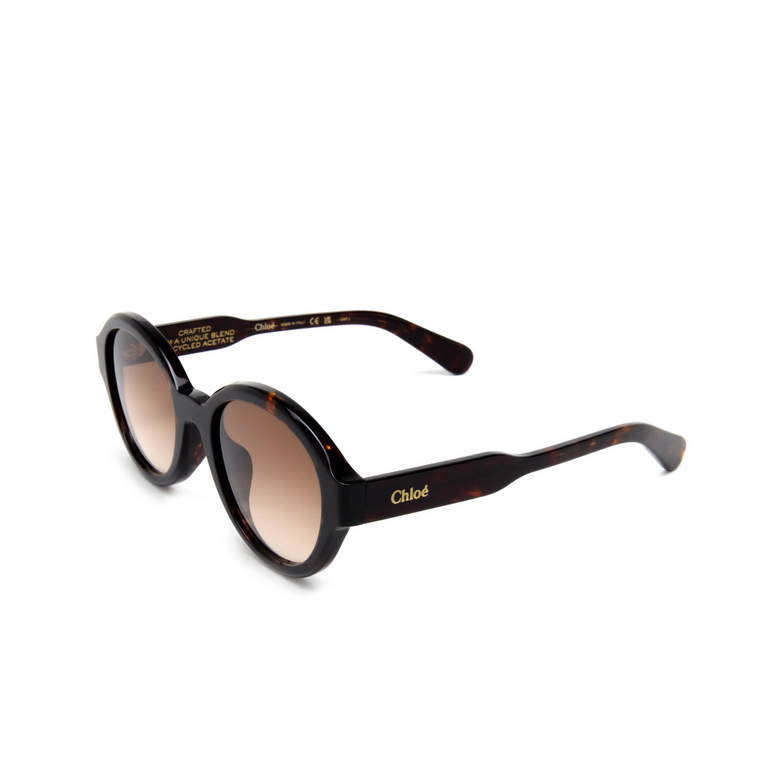 Chloé CH0156SK round Sunglasses 002 havana - 4/5