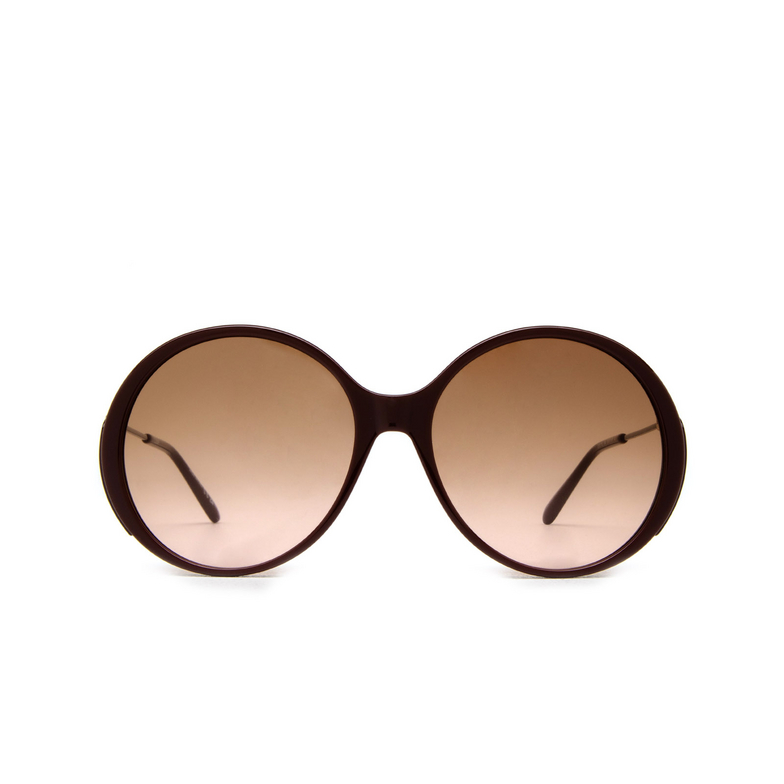 Chloé CH0171S round Sunglasses 004 brown - 1/5