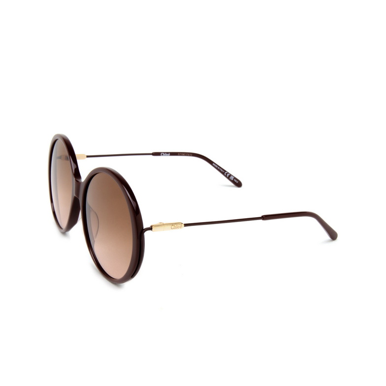 Chloé CH0171S round Sunglasses 004 brown - 4/5