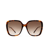 Chloé CH0173S butterfly Sunglasses 002 havana - product thumbnail 1/5
