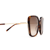 Chloé CH0173S butterfly Sunglasses 002 havana - product thumbnail 3/5