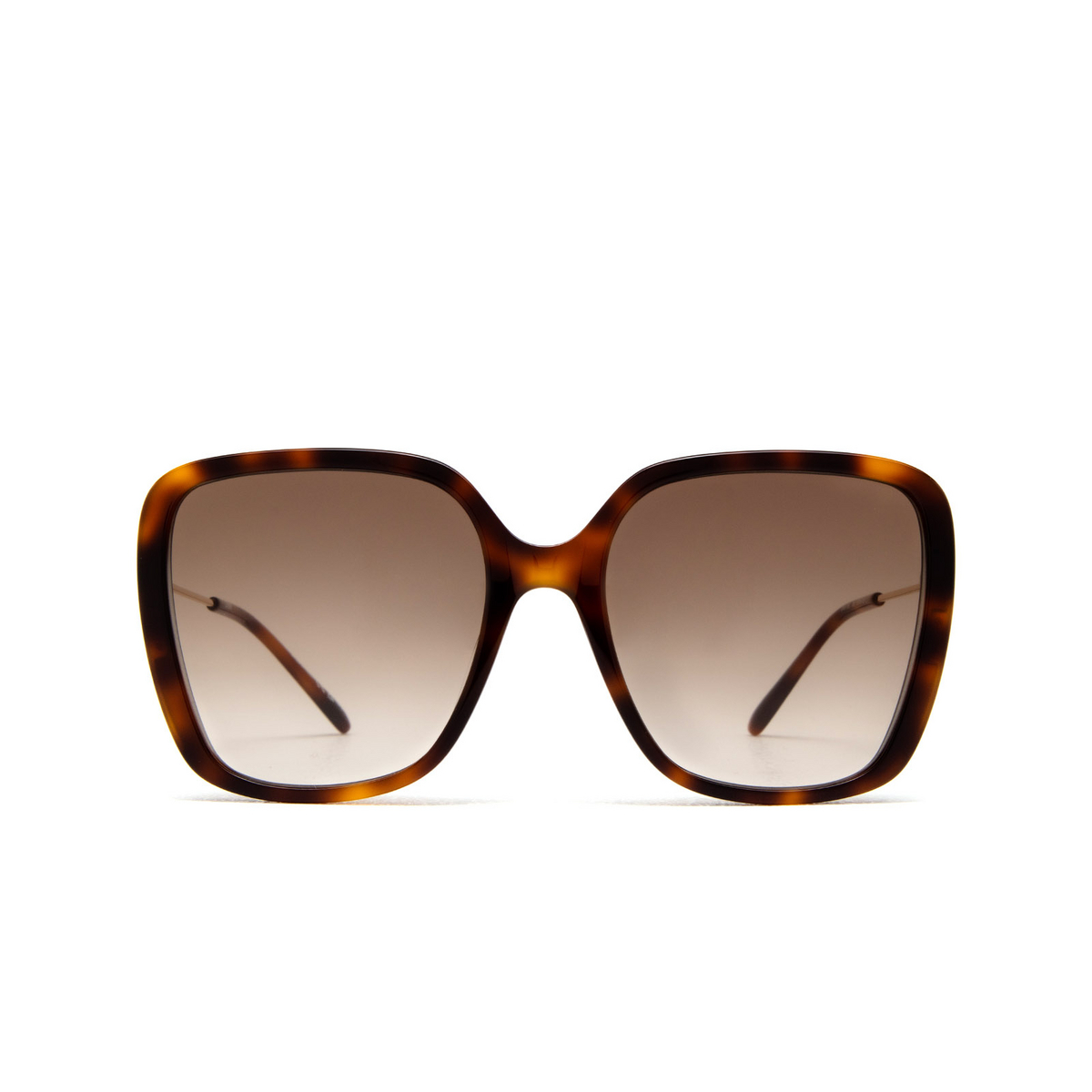Chloé CH0173S butterfly Sunglasses 002 Havana - front view