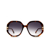 Chloé West round Sunglasses 007 havana - product thumbnail 1/5