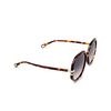 Gafas de sol Chloé West 007 havana - Miniatura del producto 2/5