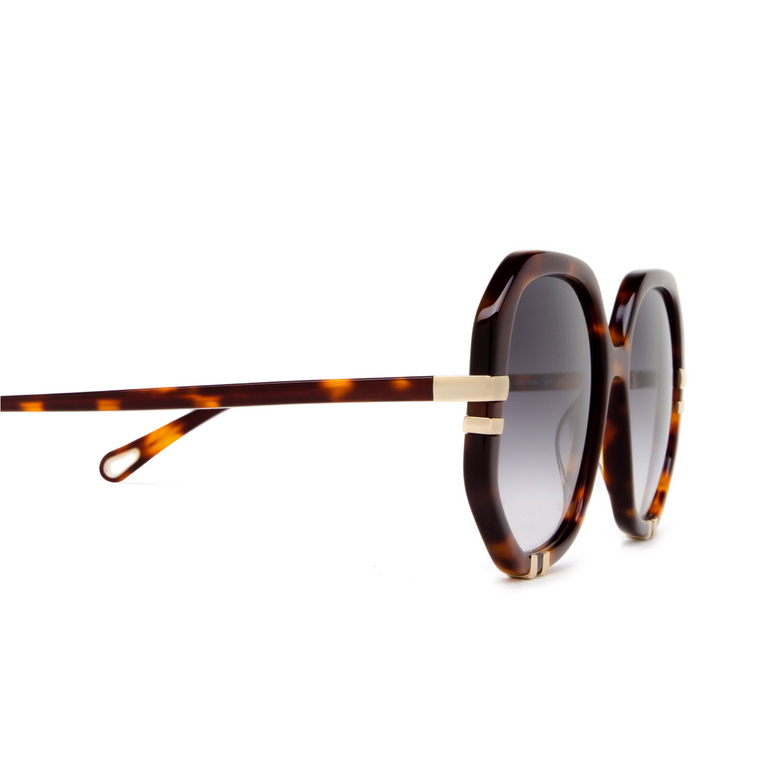 Chloé West round Sunglasses 007 havana - 3/5