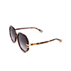 Chloé West round Sunglasses 007 havana - product thumbnail 4/5