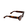 Cubitts CALEDONIA Sunglasses CLD-R-DAR dark turtle - product thumbnail 2/4