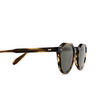 Cubitts CARTWRIGHT Sunglasses CAT-R-OLI olive - product thumbnail 3/4
