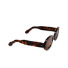 Cubitts GOLDINGTON Sunglasses GOL-R-DAR dark turtle - product thumbnail 2/4