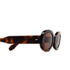 Cubitts GOLDINGTON Sunglasses GOL-R-DAR dark turtle - product thumbnail 3/4