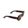 Cubitts GRIMALDI Sunglasses GRI-R-DAR dark turtle - product thumbnail 2/4