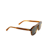 Cubitts HEMINGFORD Sunglasses HEM-L-BEE beechwood - product thumbnail 2/4