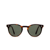 Cubitts HERBRAND Sunglasses HER-R-DAR dark turtle - product thumbnail 1/4