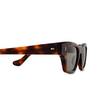 Cubitts ICENI Sunglasses ICE-R-DAR / GREEN dark turtle - product thumbnail 3/4