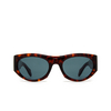 Cutler and Gross 9276 Sunglasses 02 dark turtle - product thumbnail 1/4