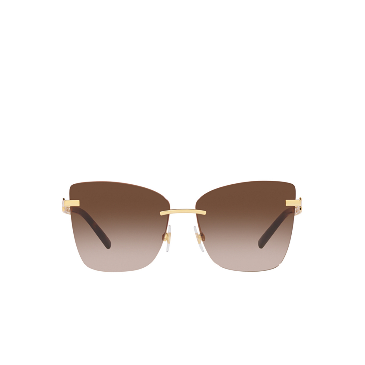 Dolce & Gabbana DG2289 Sunglasses 02/13 Gold/brown - front view