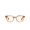 Gafas graduadas Dolce & Gabbana DG3361 3380 havana leo - Miniatura del producto 1/4