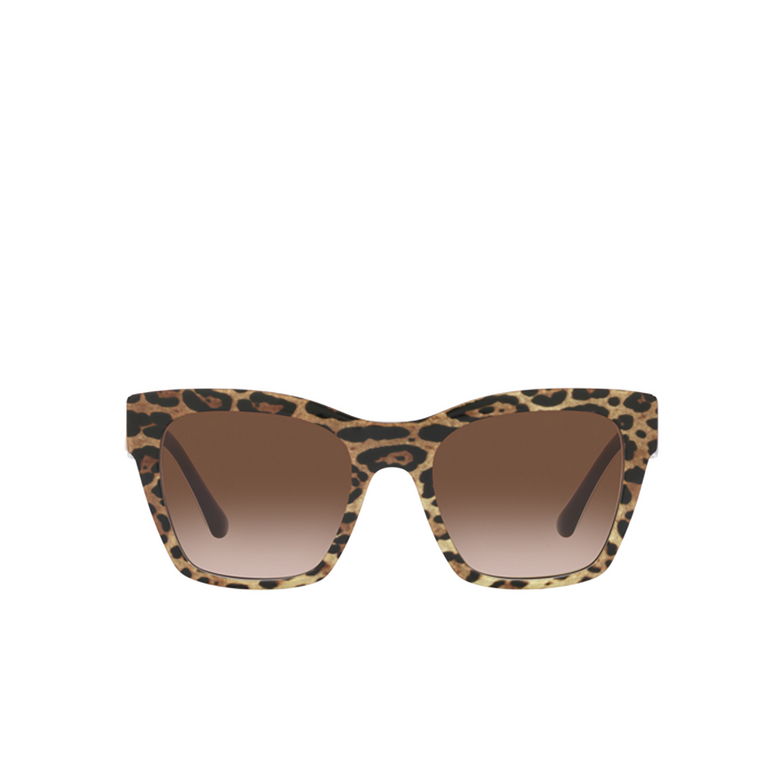 Dolce & Gabbana DG4384 Sunglasses 316313 leo brown on black - 1/4