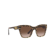 Dolce & Gabbana DG4384 Sunglasses 316313 leo brown on black - product thumbnail 2/4