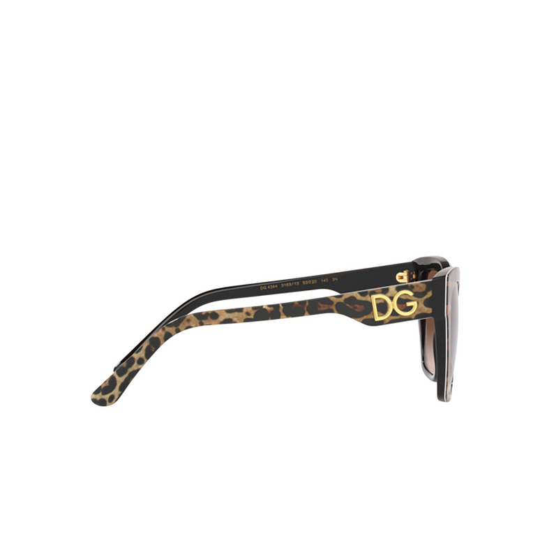 Dolce & Gabbana DG4384 Sunglasses 316313 leo brown on black - 3/4