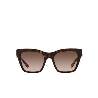 Dolce & Gabbana DG4384 Sunglasses 321773 havana on white barrow - front view