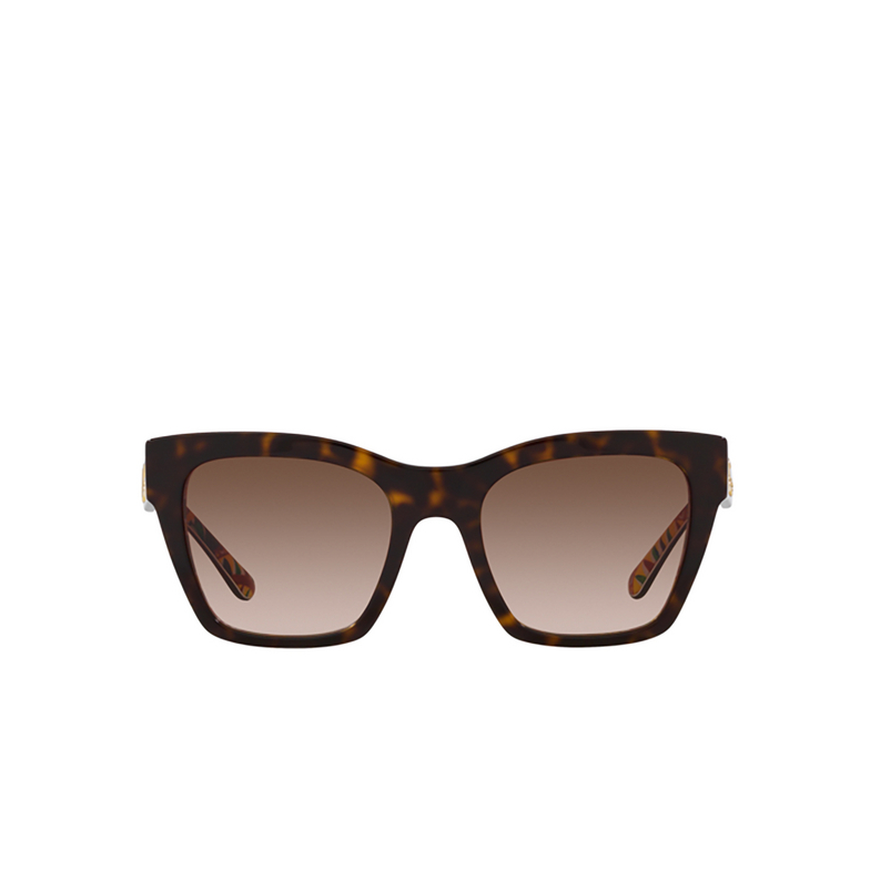 Dolce & Gabbana DG4384 Sunglasses 321773 havana on white barrow - 1/4