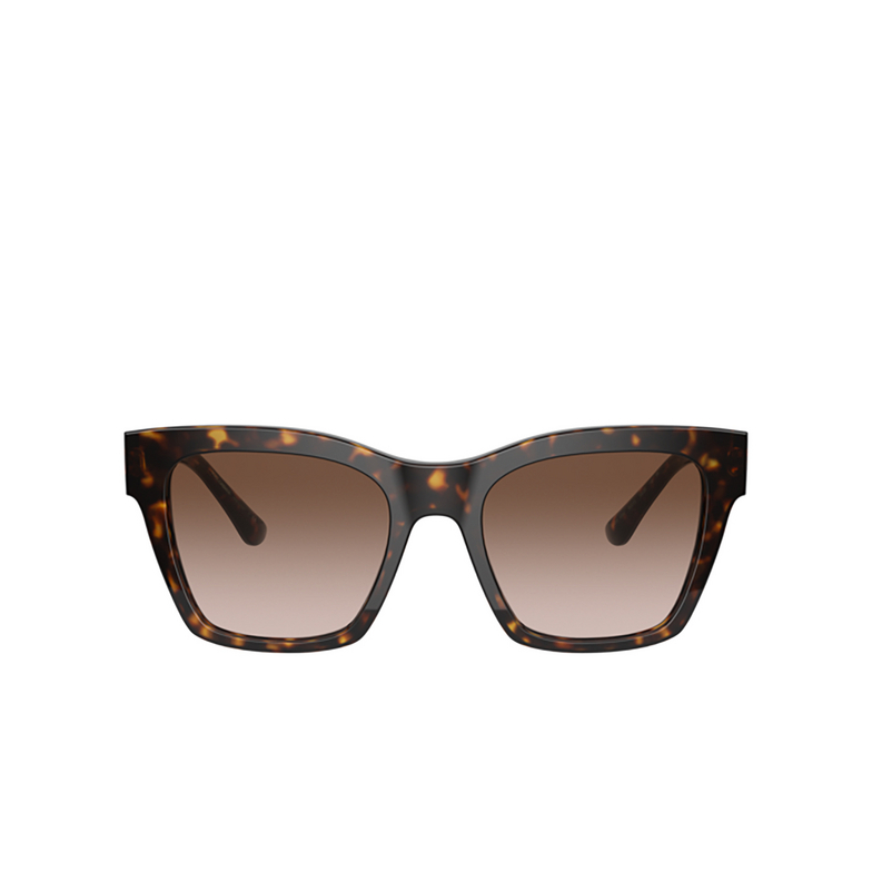 Gafas de sol Dolce & Gabbana DG4384 502/13 havana - 1/4