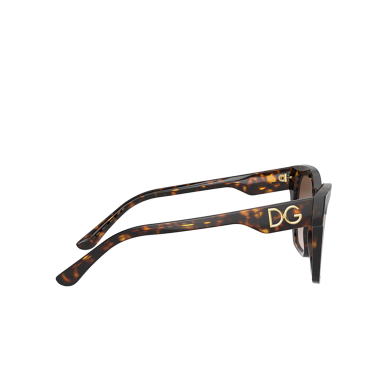 Lunettes de soleil Dolce & Gabbana DG4384 502/13 havana - 3/4