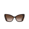 Gafas de sol Dolce & Gabbana DG4405 502/13 havana - Miniatura del producto 1/4
