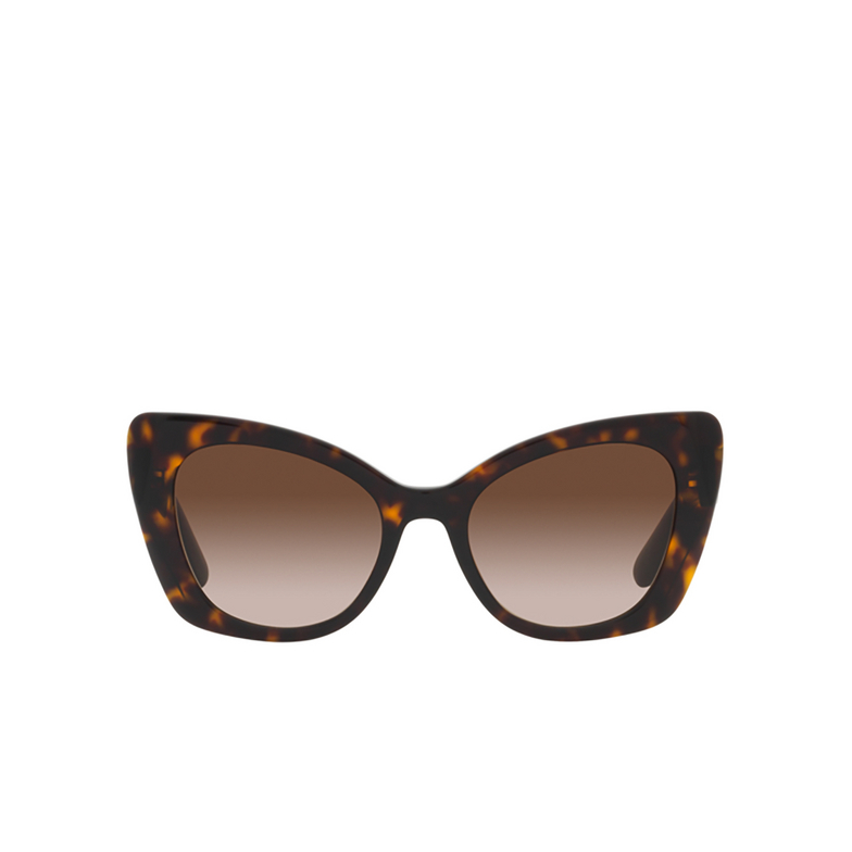 Gafas de sol Dolce & Gabbana DG4405 502/13 havana - 1/4
