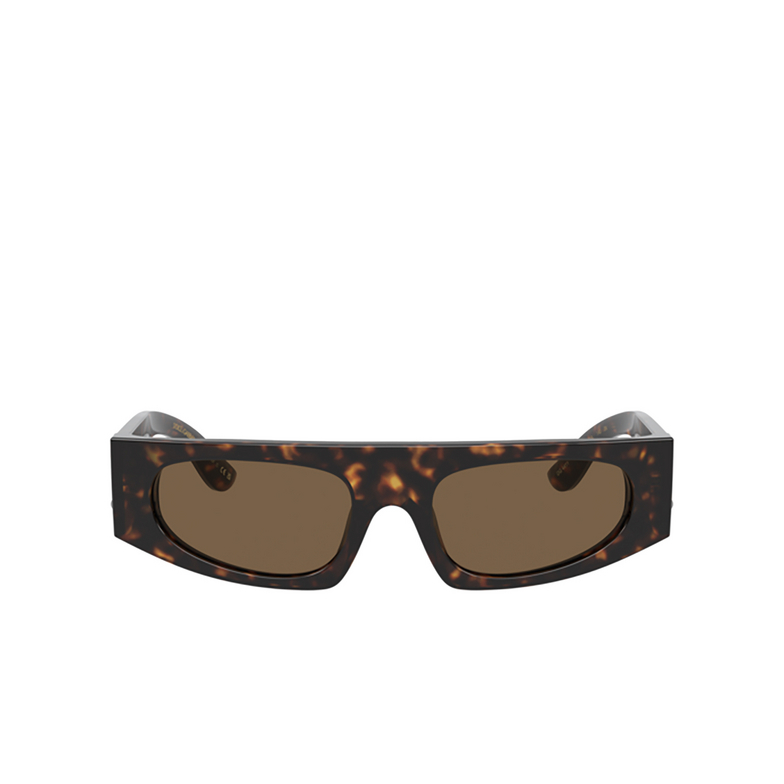 Dolce & Gabbana DG4411 Sunglasses 502/73 havana - 1/4