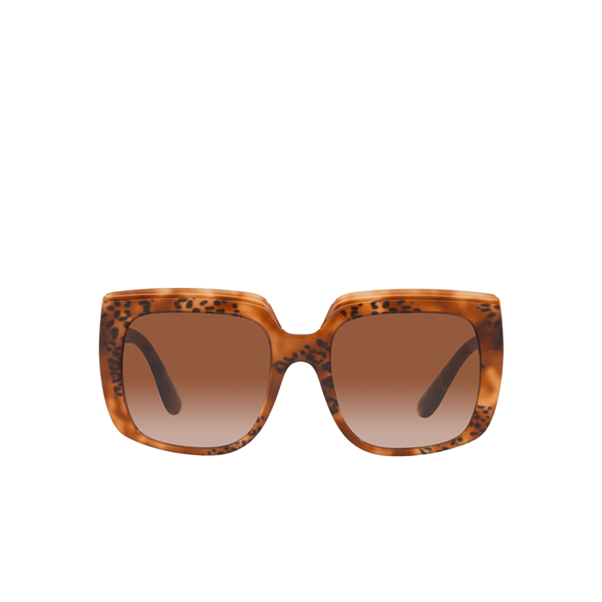 Dolce & Gabbana DG4414 Sunglasses 338013 Havana - front view
